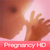 Pregnancy week to week